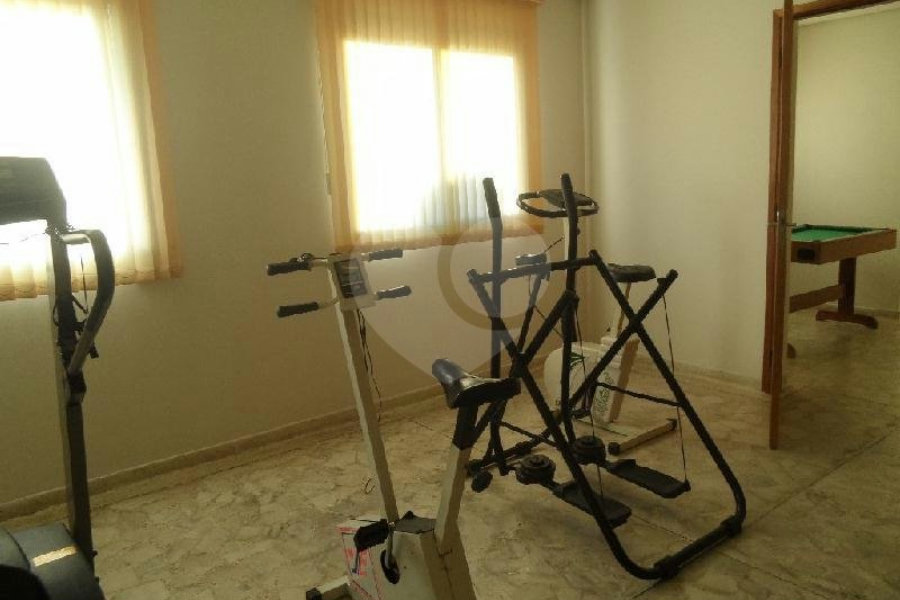 Apartamento à venda com 3 quartos, sendo 1 suíte, em Tucuruvi, São Paulo, SP