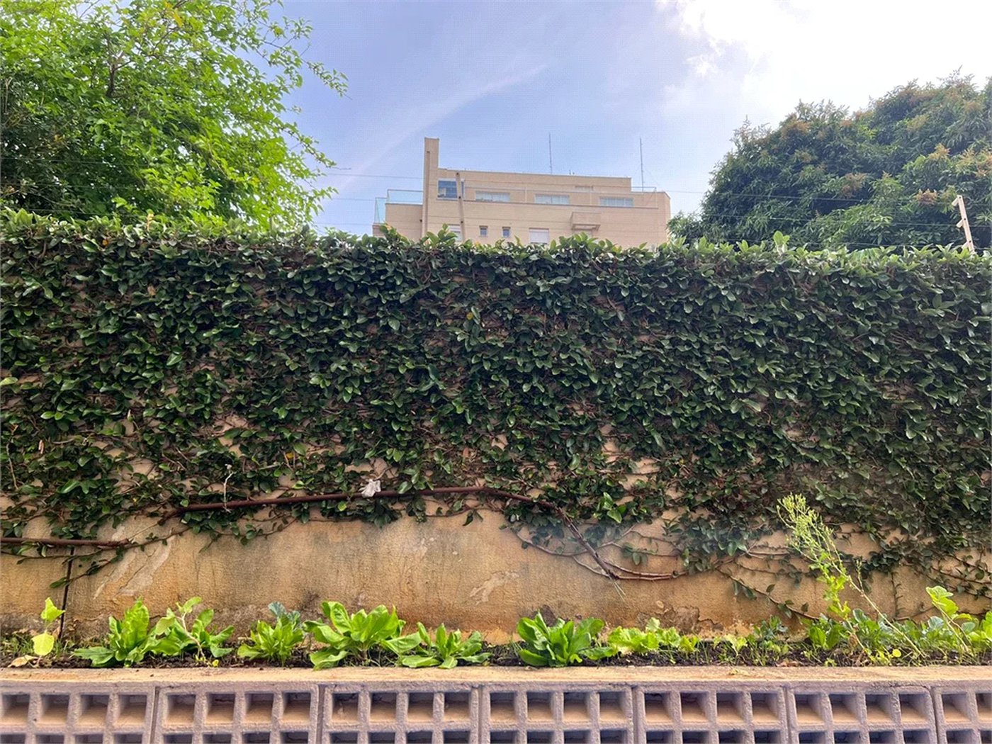 Apartamento à venda com 3 suítes em Bela Aliança, São Paulo, SP