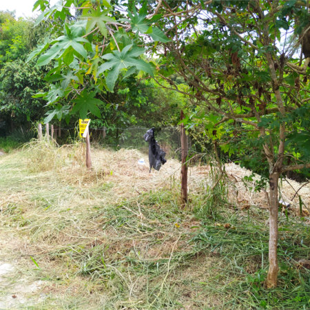 Terreno à venda em Loteamento Jardim do Sol (mailasqui), São Roque, SP