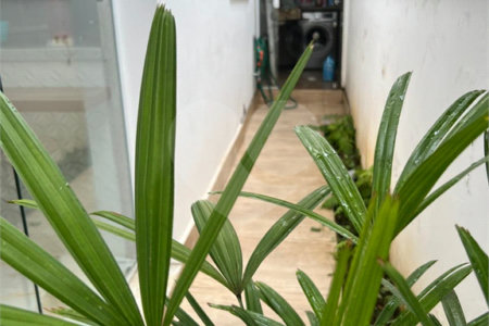 Sobrado à venda com 3 quartos, sendo 1 suíte, em Jardim Vazani, São Paulo, SP