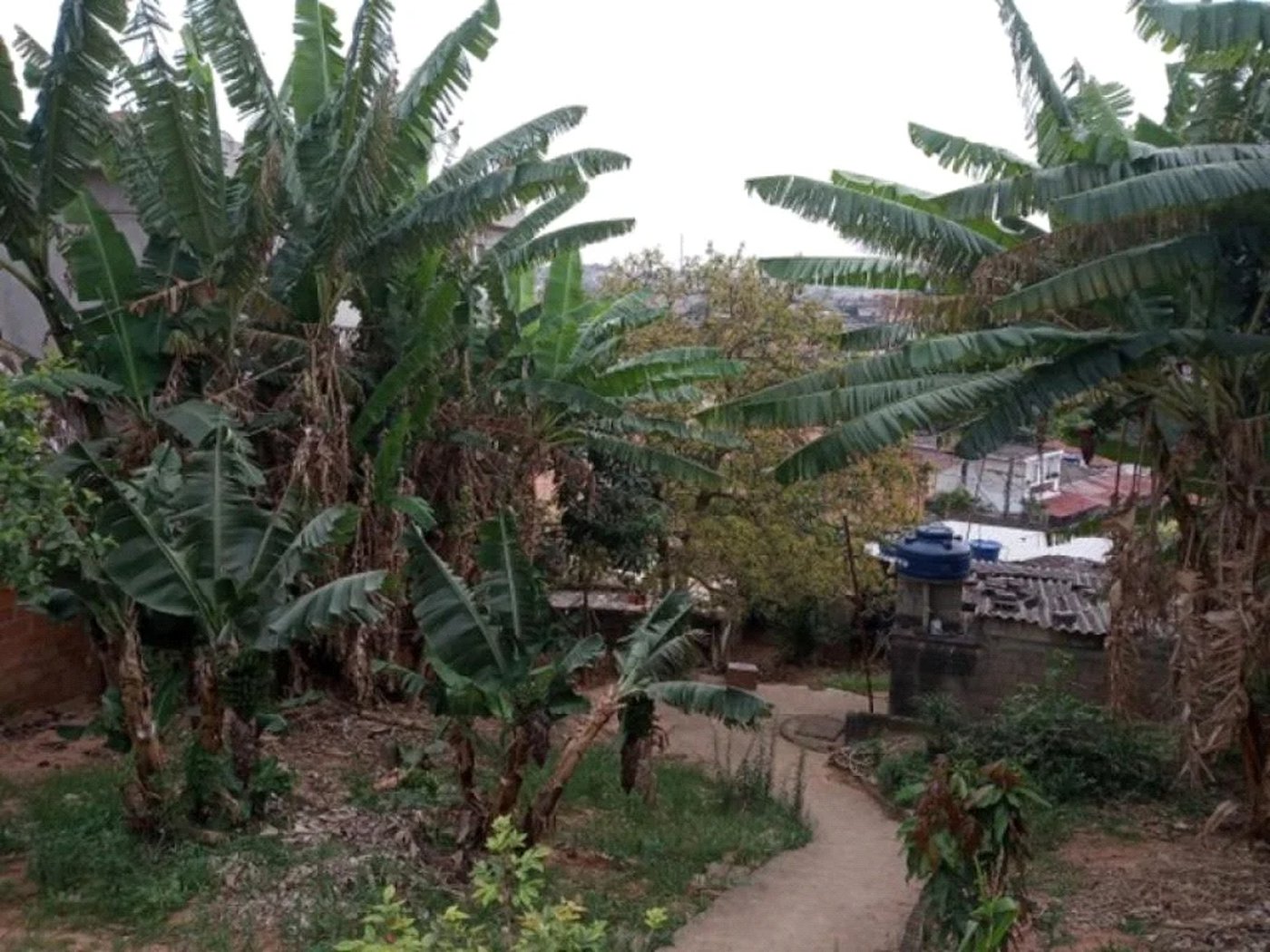 Terreno à venda em Parque Fernanda, São Paulo, SP