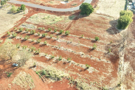 Terreno à venda em Vila do Golf, Ribeirão Preto, SP