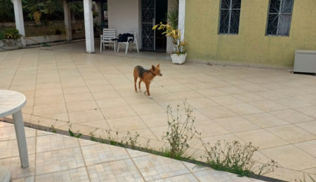 Casa à venda com 3 quartos, sendo 1 suíte,  no condomínio Cafezal VI, Itupeva - SP