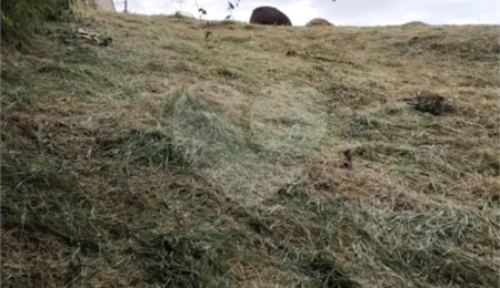Terreno à venda em Chácara Terra Nova, Jundiaí, SP