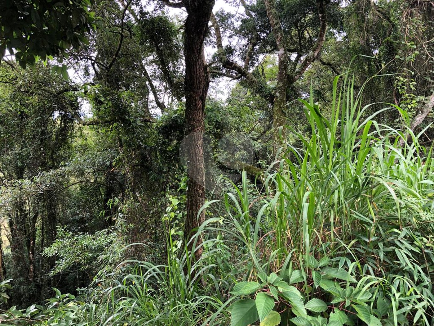Terreno à venda no condomínio Gleba E2, Mairiporã - SP