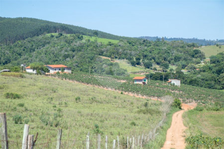 Sítio à venda no Centro, Morungaba, SP
