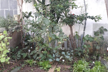 Casa à venda com 4 suítes em Vila Oliveira, Mogi das Cruzes, SP