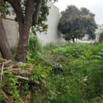 Terreno à venda em Vila Constança, São Paulo, SP