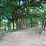 Terreno à venda em Vila Nova, Louveira, SP