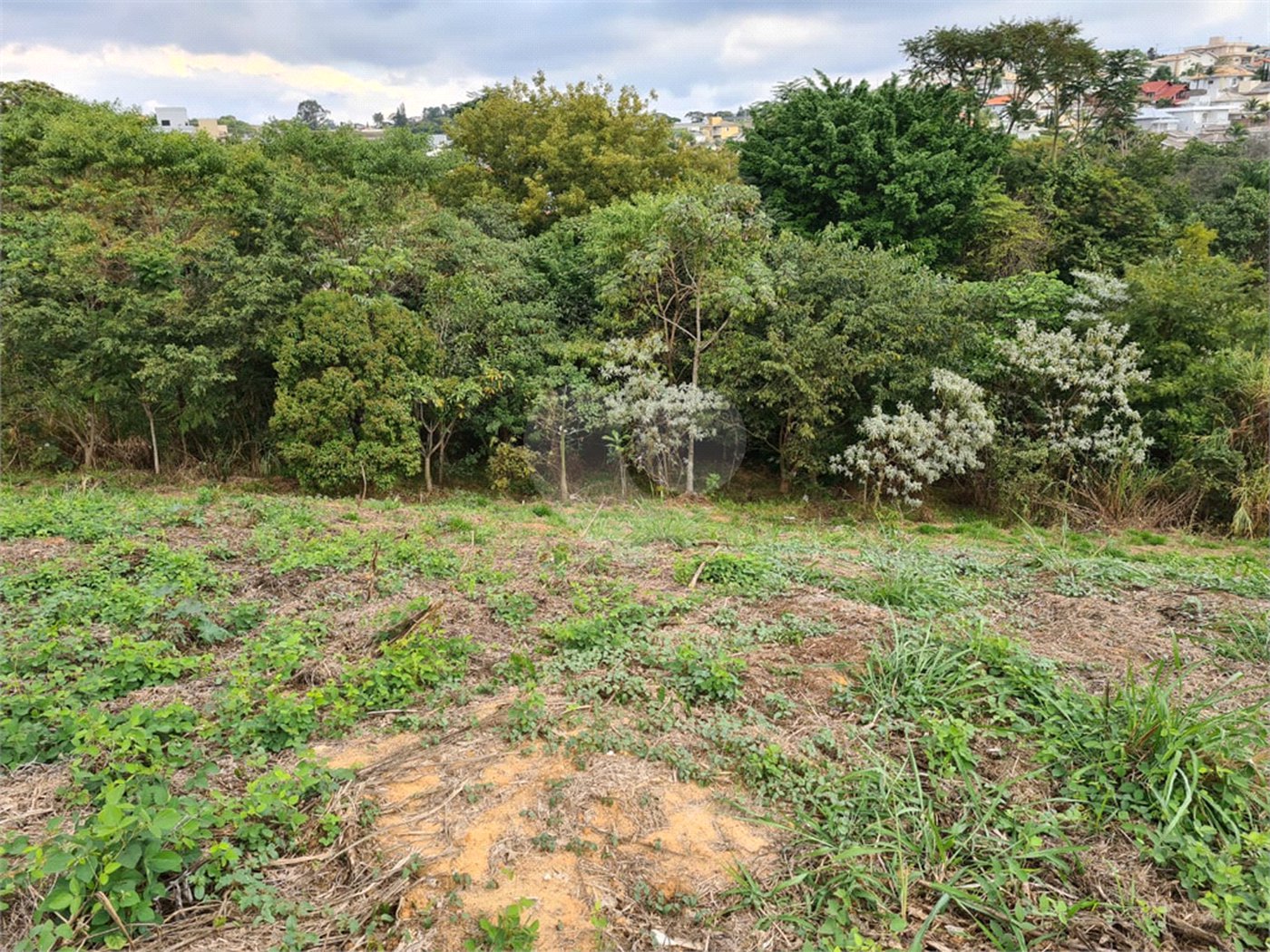 Terreno à venda em Bosque, Vinhedo, SP