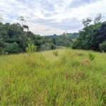 Terreno à venda em Residencial Reserva da Mata, Itapetininga, SP