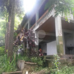 Casa Térrea à venda com 4 quartos, sendo 2 suítes,  em Tucuruvi, São Paulo, SP