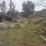 Sítio à venda com 3 quartos, sendo 2 suítes,  em Cachoeira, Atibaia, SP