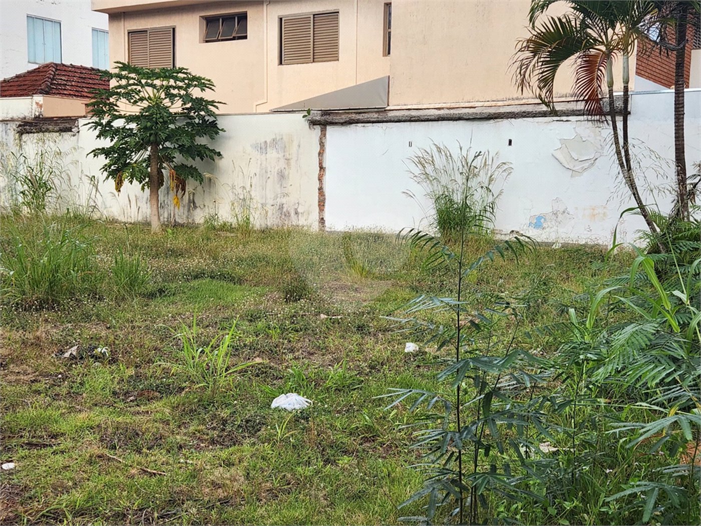 Terreno para alugar no Centro, Araraquara, SP