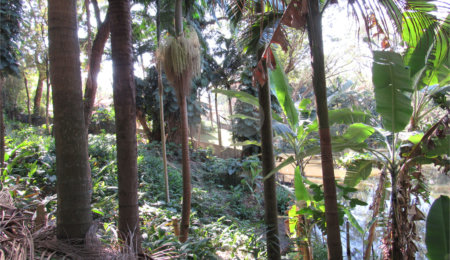 Terreno à venda no condomínio Chácara Flora, São Paulo - SP