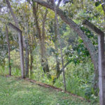 Chácara à venda na cidade de São Pedro - SP no bairro Vertentes das Águas - Refúgio Natural a 30 Minutos de Piracicaba - 5.000 m2