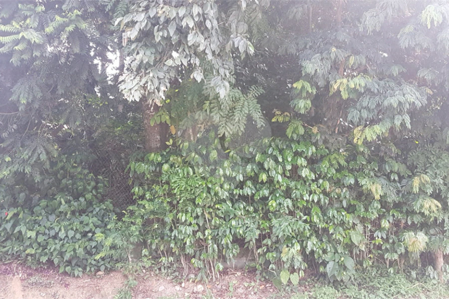 Terreno à venda em Serra da Cantareira, Mairiporã, SP