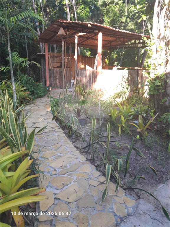 Chácara à venda com 3 quartos, sendo 1 suíte, no Centro, Santa Cruz Cabrália, BA