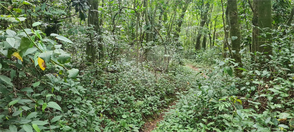 Terreno à venda em Caraguatá, Mairiporã, SP