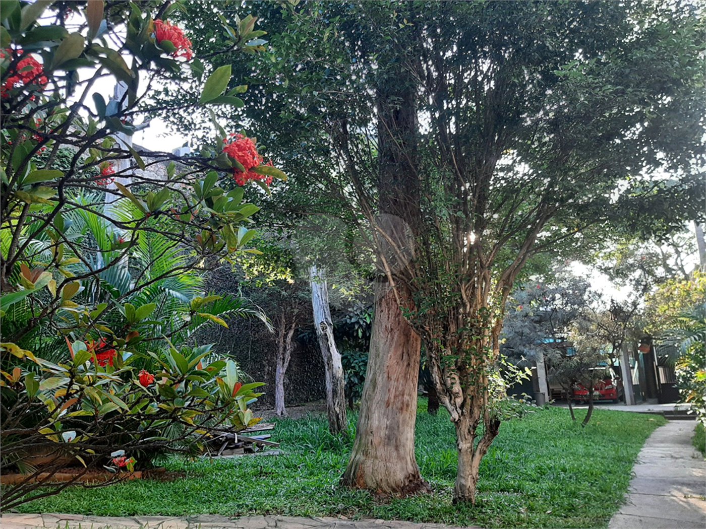 Casa Térrea à venda com 3 quartos em Horto Florestal, São Paulo, SP