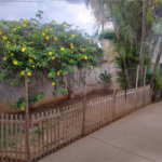Casa a venda na Vila São José - São Carlos/SP