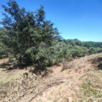 Área rural em Piracaia com 3.289 metros, ótima para chácara, as margens do rio Cachoeira