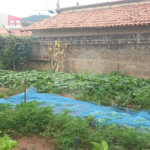 Terreno à venda em Irmãos Chiquetto, Louveira, SP