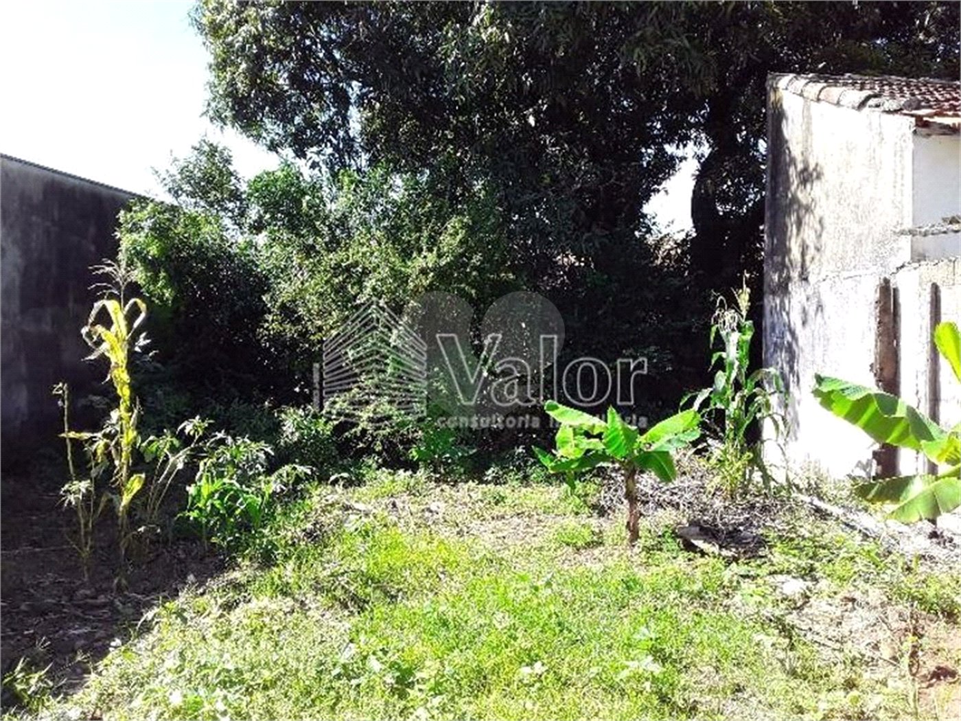 Terreno com 850,00 m²