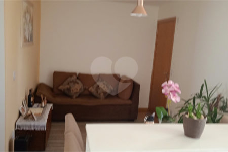 Apartamento à venda no Monte Berlim em São Carlos /SP