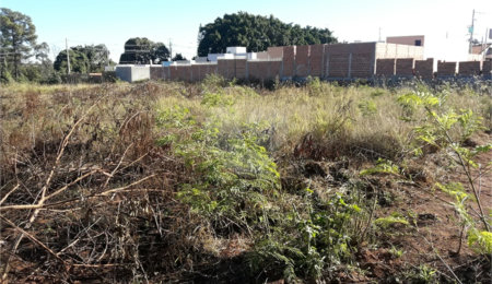 Terreno à venda em Parque Industrial, São Carlos, SP