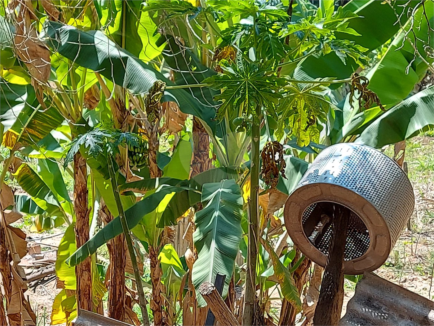 Chácara à venda com 4 quartos em Área Rural de Louveira, Louveira, SP