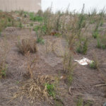 Lote no Jardim do Bosque, aceita financiamento ou aquisição de terreno e construção .