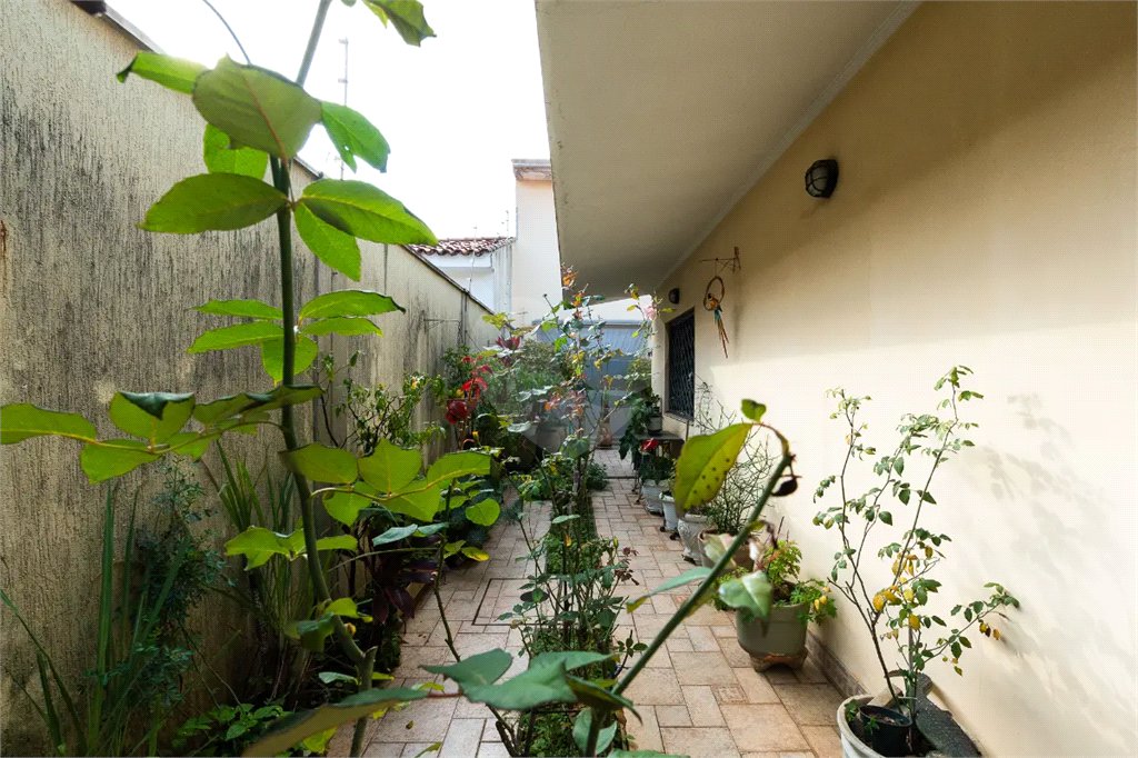 Casa a venda no Planalto Paulista, 2 suítes, 4 vagas, 230 m², quintal e localização privilegiada