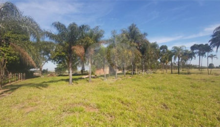 Sítio à venda em Jardim Embaré, São Carlos, SP