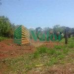 Sítio Estrada São Carlos Ribeirão - próximo São Carlos