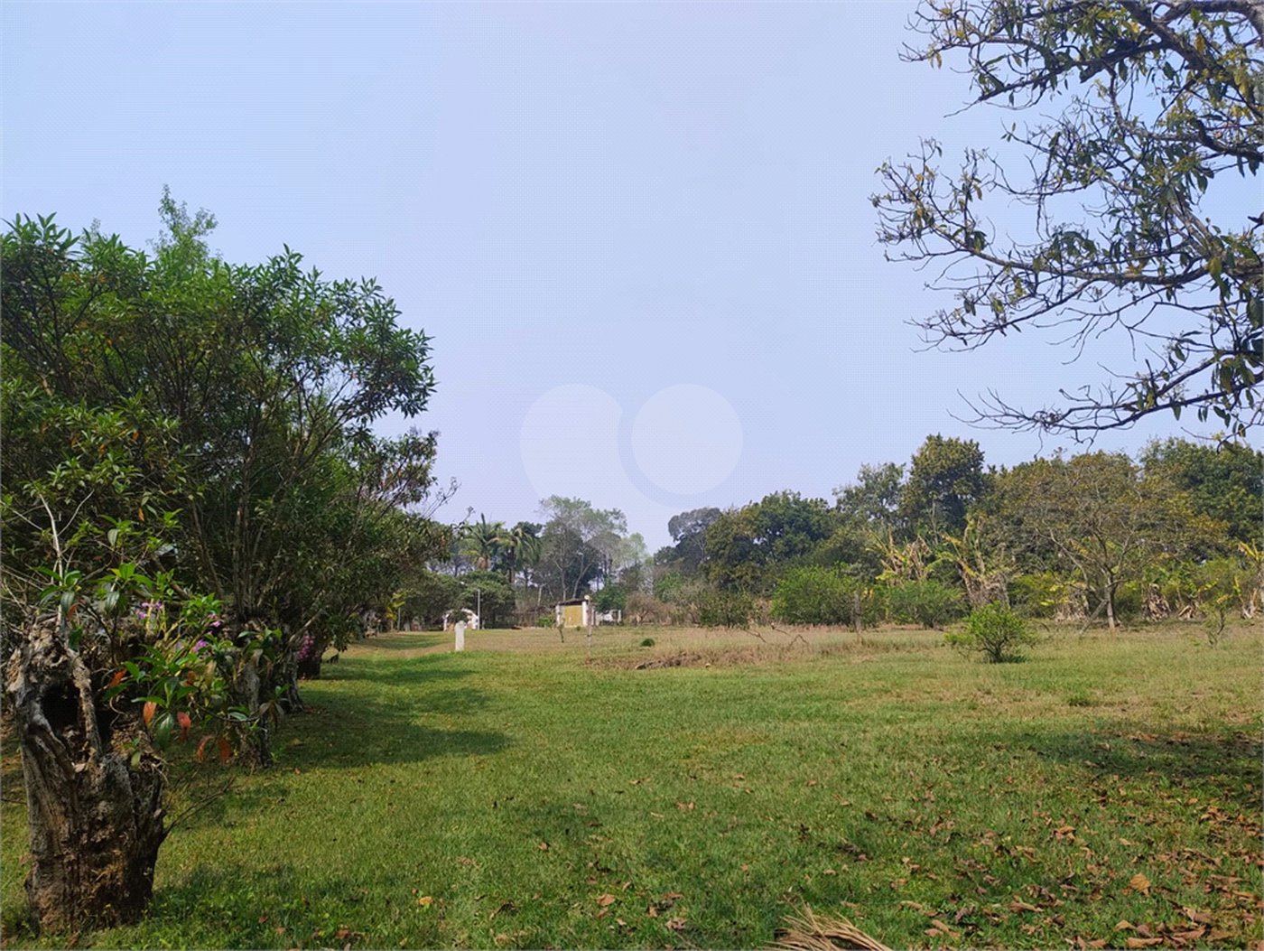 Sítio à venda, 504m² - Ponte Alta Atibaia 48mil² Ref: 1013670
