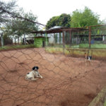 Chácara Balneário do 29 com piscina.