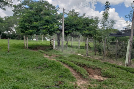 Sitio para venda.