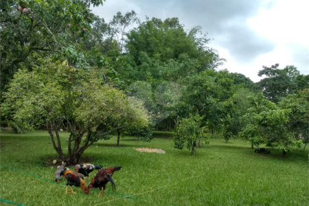 Chácara a venda no Residencial Planalto Serra Verde em Itirapina