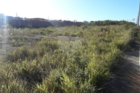 Vendo Terreno no Parque Industrial em São Carlos SP