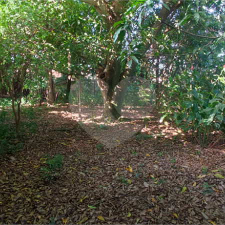 Terreno à venda - Vila São José