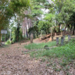 Excelente imóvel rural, situado em Analândia/SP