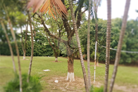 Chácara à venda com 8 quartos, sendo 5 suítes, em Chácara Belvedere, Indaiatuba, SP
