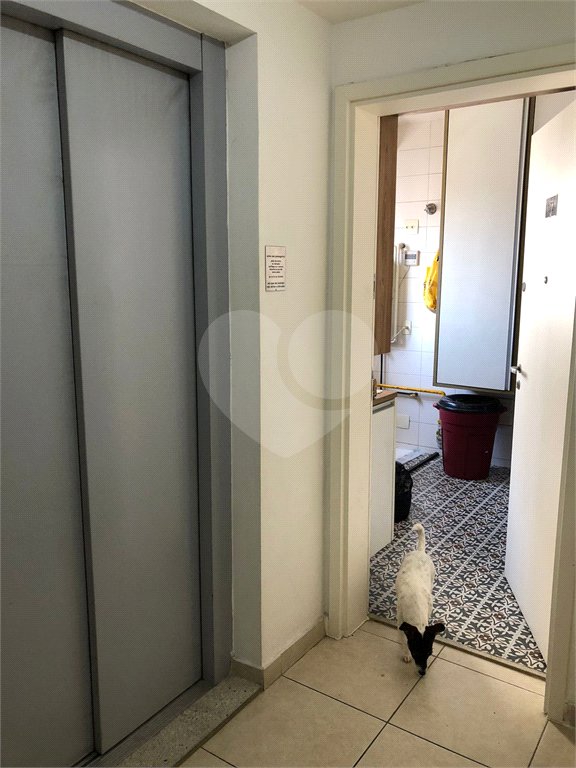 Apartamento à venda com 4 quartos, sendo 3 suítes, em Belenzinho, São Paulo, SP