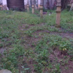 Terreno à venda, 1098 m² por R$ 4.000.000,00 - Centro - Santos/SP