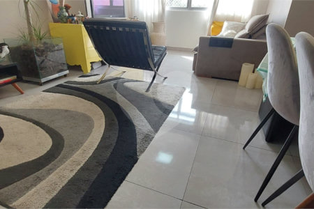 Apartamento Decorado e Mobiliado Bosque da Saúde