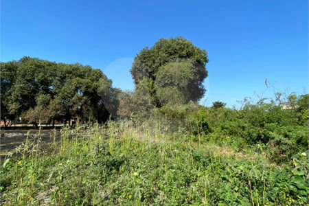 Terreno à venda em Campo Lindo, Seropédica, RJ