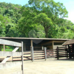 Fazenda à venda com 7 quartos, sendo 3 suítes, em Professor Souza, Casimiro de Abreu, RJ