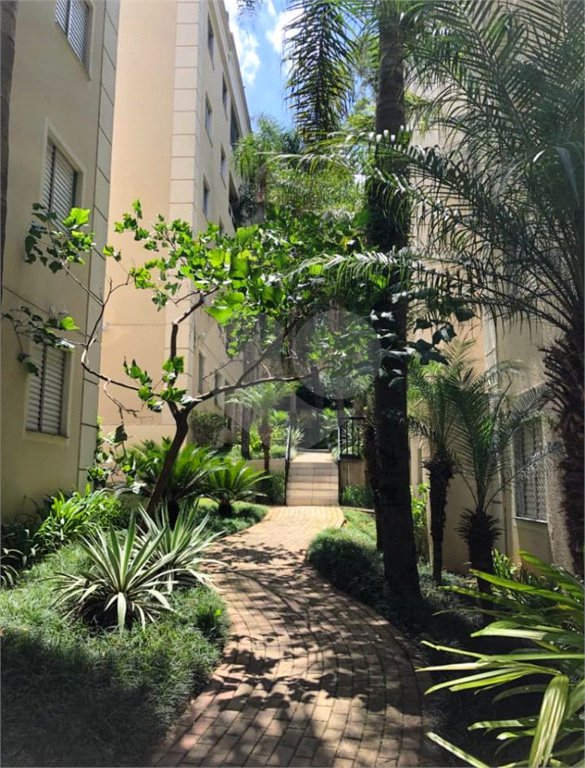 Apartamento à venda com 3 quartos, sendo 1 suíte, em Paraisópolis, São Paulo, SP