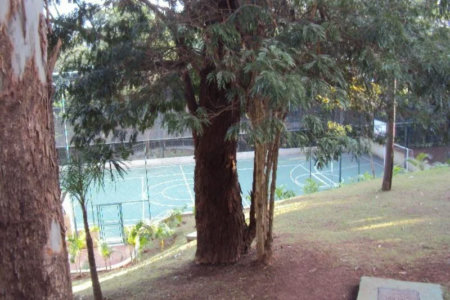 Apartamento à venda com 4 quartos, sendo 2 suítes, em Jardim Adhemar de Barros, São Paulo, SP